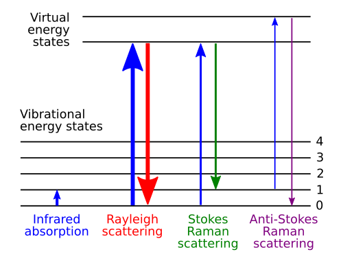 Raman spectroscopy